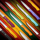 サバティエ ステーキナイフ 197シリーズ(6色)