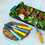 サバティエ ステーキナイフ 197シリーズ(6色)