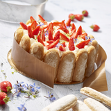 パンチング ケーキモールド 丸型24cm 特別価格