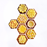 パンチング タルト型 六角形 11×H2cm 特別価格