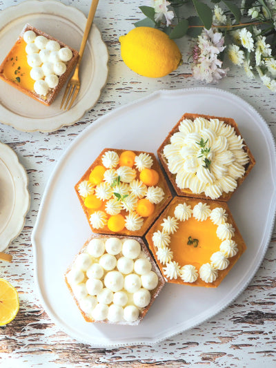 折り畳み式　パンチングモールド パテアンクルート型 デバイヤー公式 折り畳み式 パンチングモールド パテアンク